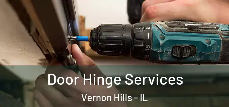 Door Hinge Services Vernon Hills - IL
