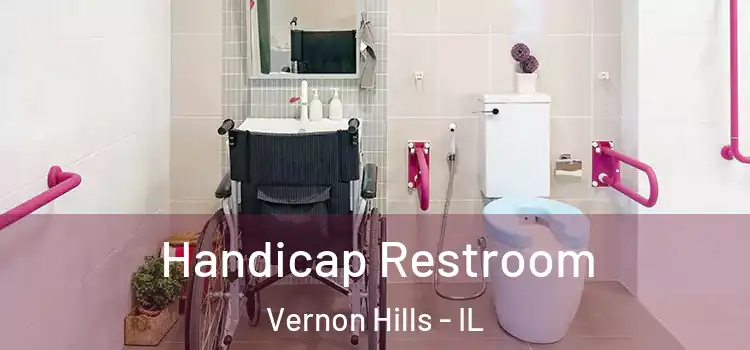 Handicap Restroom Vernon Hills - IL