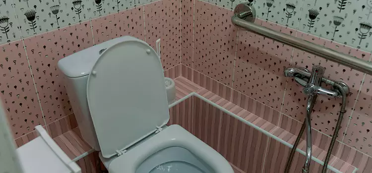 Meeting Diverse Needs With Accessible Restroom Solutions in Vernon Hills, IL