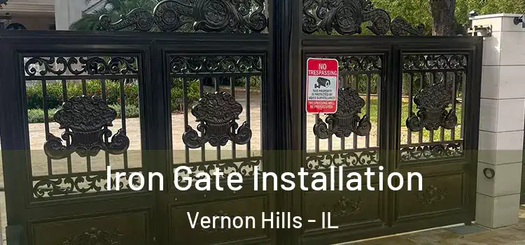 Iron Gate Installation Vernon Hills - IL